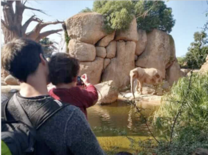 bioparc fuengirola